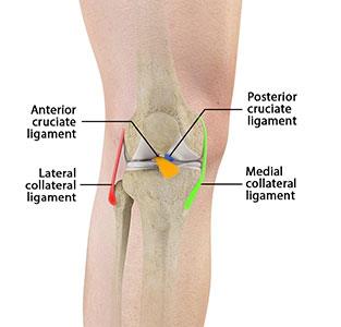 Multiligament Knee Injuries