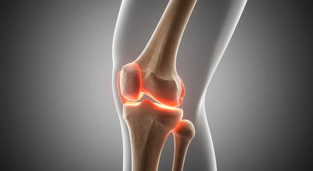 knee